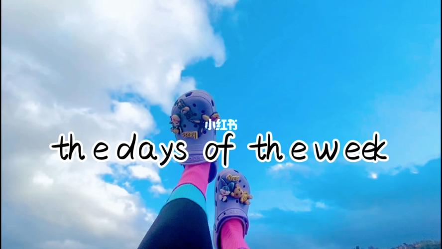 the days of the week95_客栈_vlog_向往的田园生活