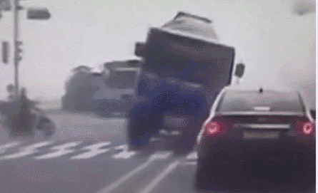 445_271gif 动态图 动图
