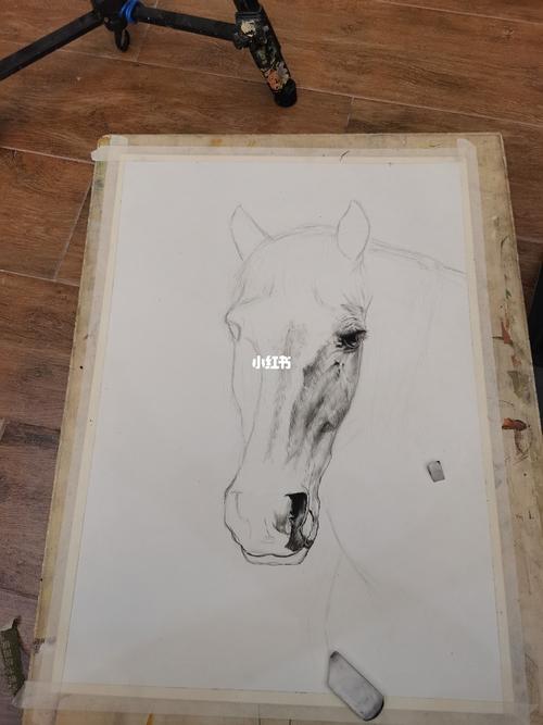 素描马_素描_文化_绘画