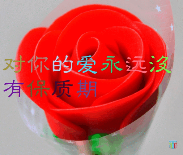 爱你的小脾气 爱上了你之后,再也离不开你 爱上了你之后,心里总是甜