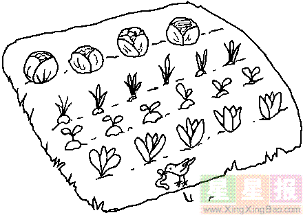 田园里的蔬菜简笔画