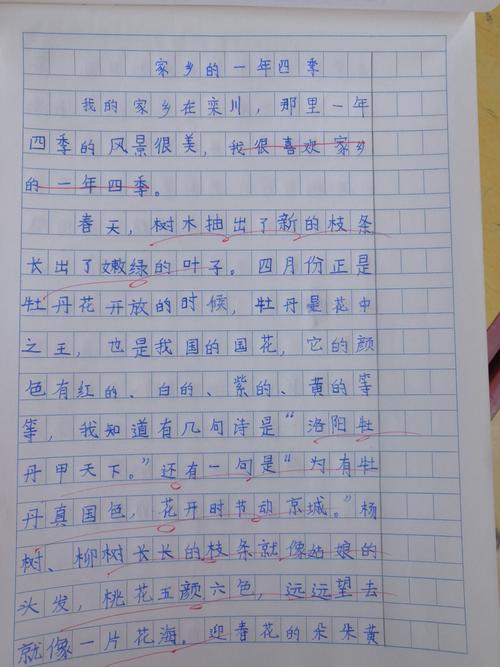 《我家乡的一年四季》优秀作文展