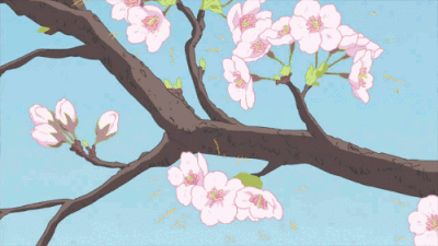 默认专辑