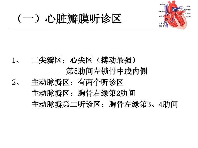 所有分类 资格考试/认证 ppt模板 心血管检查ppt  (一)心脏瓣膜听诊区