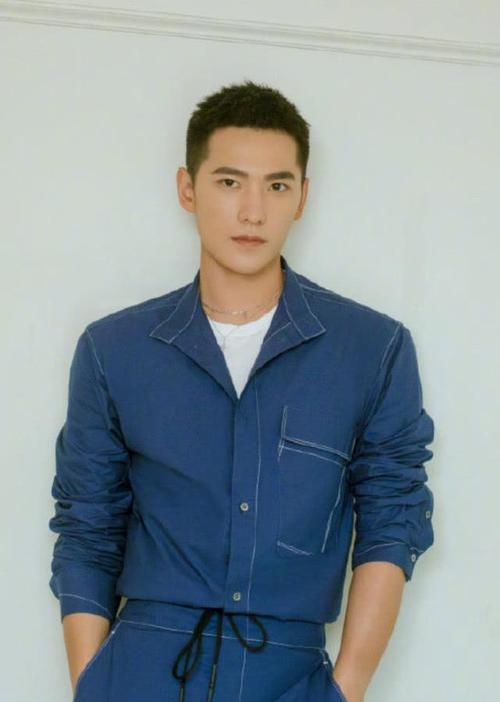 现在国内的男演员,发