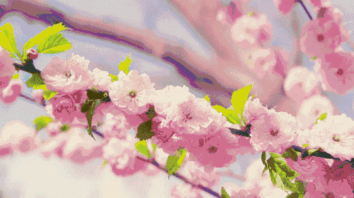 640_359gif 动态图 动图