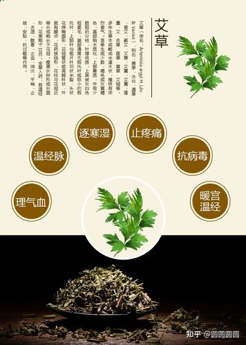 备孕期用艾叶泡脚的好处有哪些?