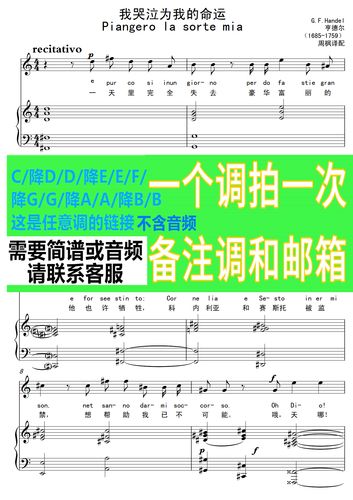 我哭泣为我的命运正谱曲谱乐谱五线谱声乐谱简谱可移调