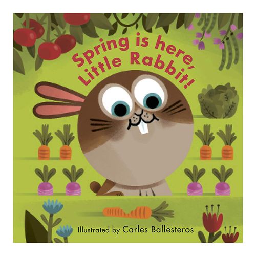 【现货】英文原版 小小动物面孔 spring is here  little rabbit 春天