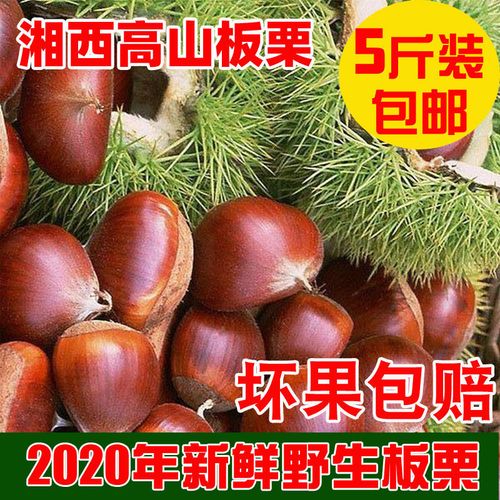 壁纸 矢量 水果 小果 植物 800_800