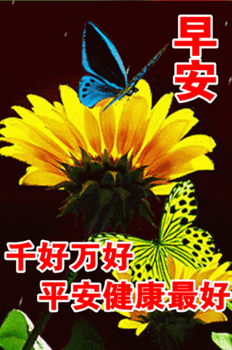 早上好问候图片带字,创意好看的冬天早安问候祝福动态表情图片_人生