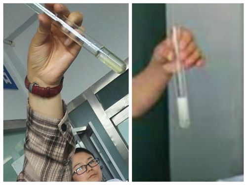 蛋白质的盐析与变性