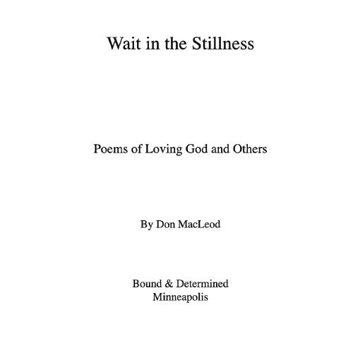 【按需印刷】wait in the stillness