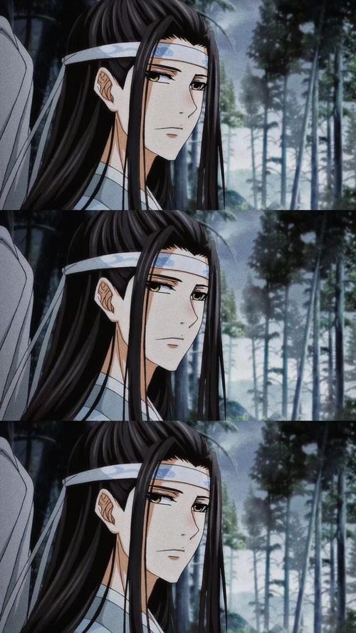 动漫 魔道祖师 蓝忘机 蓝湛 截图