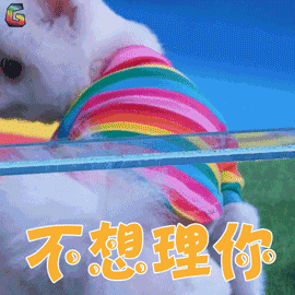 萌宠狗博美不想理你拒绝soogifsoogif出品gif动图_动态图_表情包下载