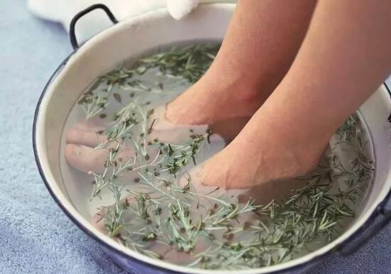 艾草泡脚作用有哪些
