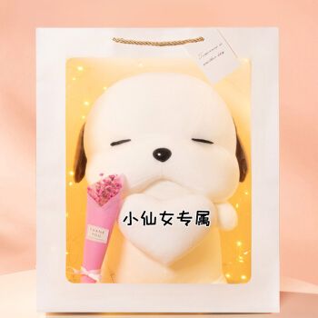 惊喜创意小礼品浪漫异地恋小众有纪念意义的 呆萌狗白(小仙女专属) 可