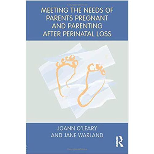 【预订】meeting the needs of parents pregnant and parenting