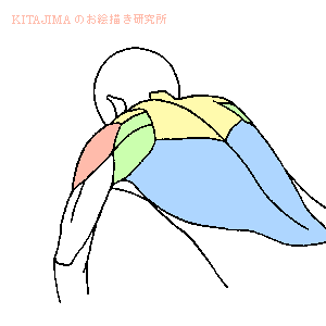 comcorner_01通过花瓣chrome扩展采集于2016-09-29 14:46:566喜欢人体