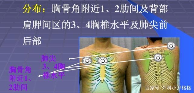 体格检查一心肺听诊之一(肺部听诊)