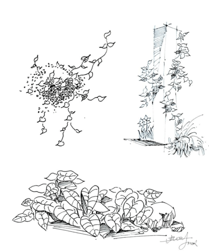 你可能喜欢 植物手绘 室内手绘线稿 马克笔表现技法 中国古典园林史