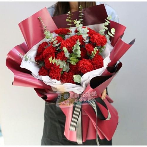 母亲节19朵红色康乃馨鲜花花束送妈妈生日同城鲜花束