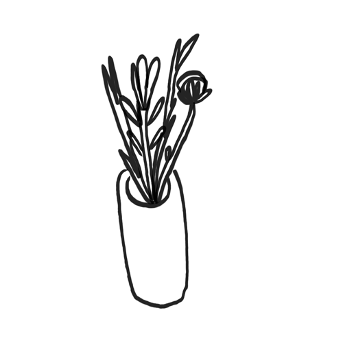 变体gifmorphgif花gif人物gif