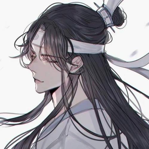 动漫头像,蓝忘机真帅