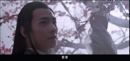 【三生三世十里桃花】8月4日期待吧!