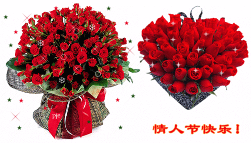 情人节玫瑰花