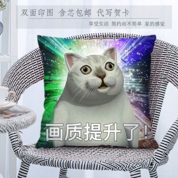 奇怪抱枕 二次元创意恶搞mur猫抱枕表情包猫靠垫奇怪的知识增加了礼物