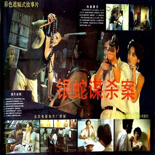 电影《银蛇谋杀案》dvd光盘 贾宏声 张京生 李勤勤 高