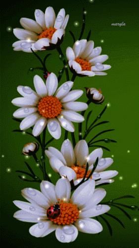 gif# #鲜花# 灬铃兰灬采集