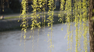 400_225gif 动态图 动图