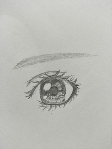 眼睛