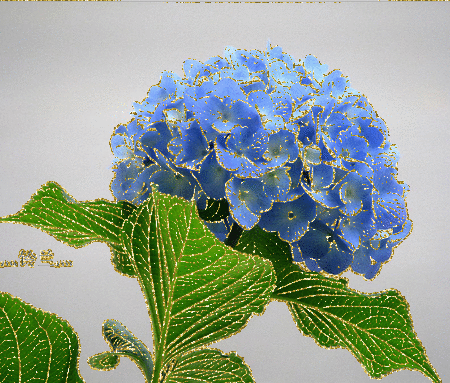 gif# 灬铃兰灬采集