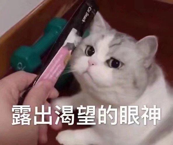 表情包露出渴望的眼神