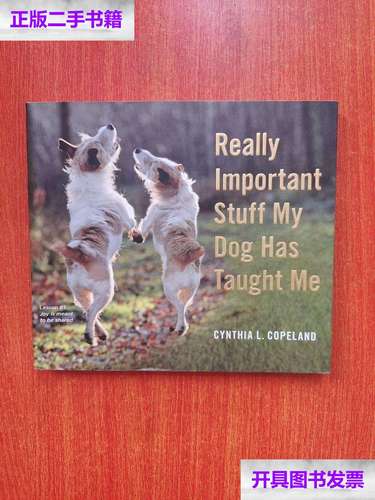 【二手9成新】really important stuff my dog has taught me