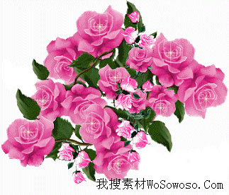 闪图:woso_21-1.gif