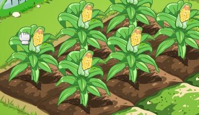菜园子简笔画