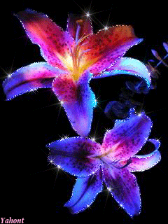 gif##鲜花# 灬铃兰灬采集