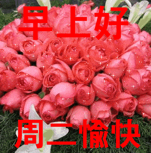 早晨漂亮祝福图早上好问候句子