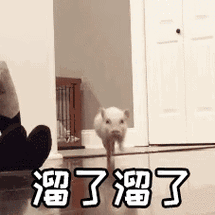 溜了溜了(猪猪快跑 gif 动图)