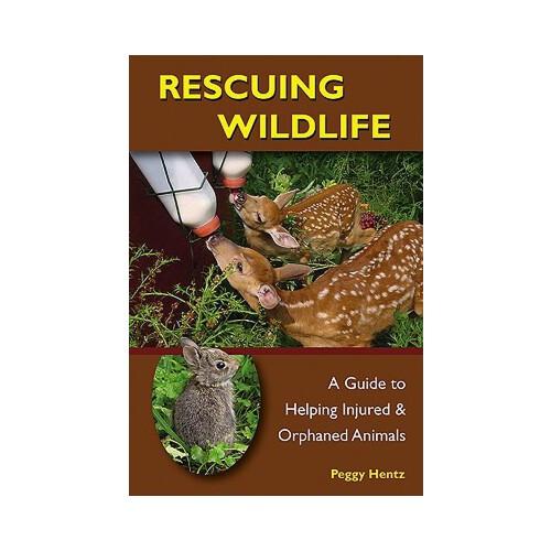 uing wildlife: a guide to helping injured and orphaned animals