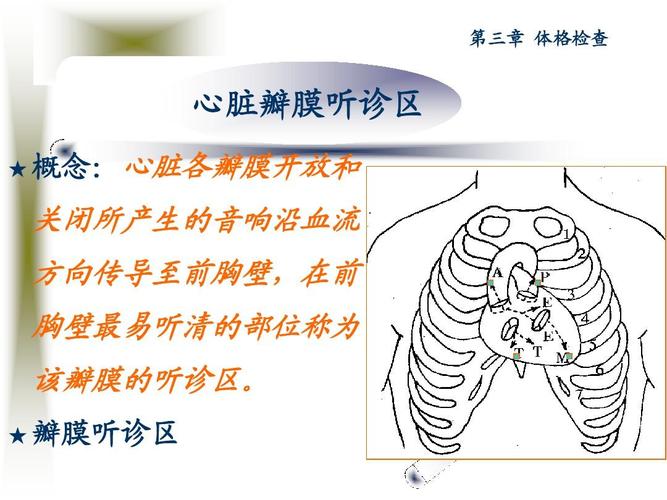 方向传导至前胸壁,在前 胸壁最易听清的部位称为 该瓣膜的听诊区