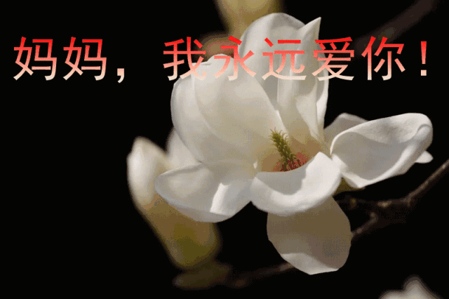 其实,再皮的表情包不及给妈妈打一通电话更不及一个当面的拥抱