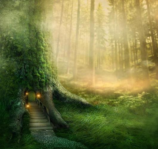 魔幻森林背景密林神秘绿色自然