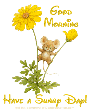 good morning have a happy day