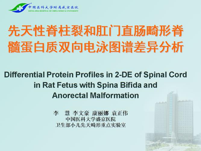 李慧 先天性脊柱裂和肛门直肠畸形脊髓蛋白质双向电泳图谱差异分析