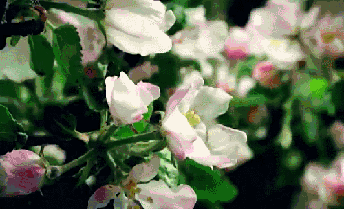 500_304gif 动态图 动图